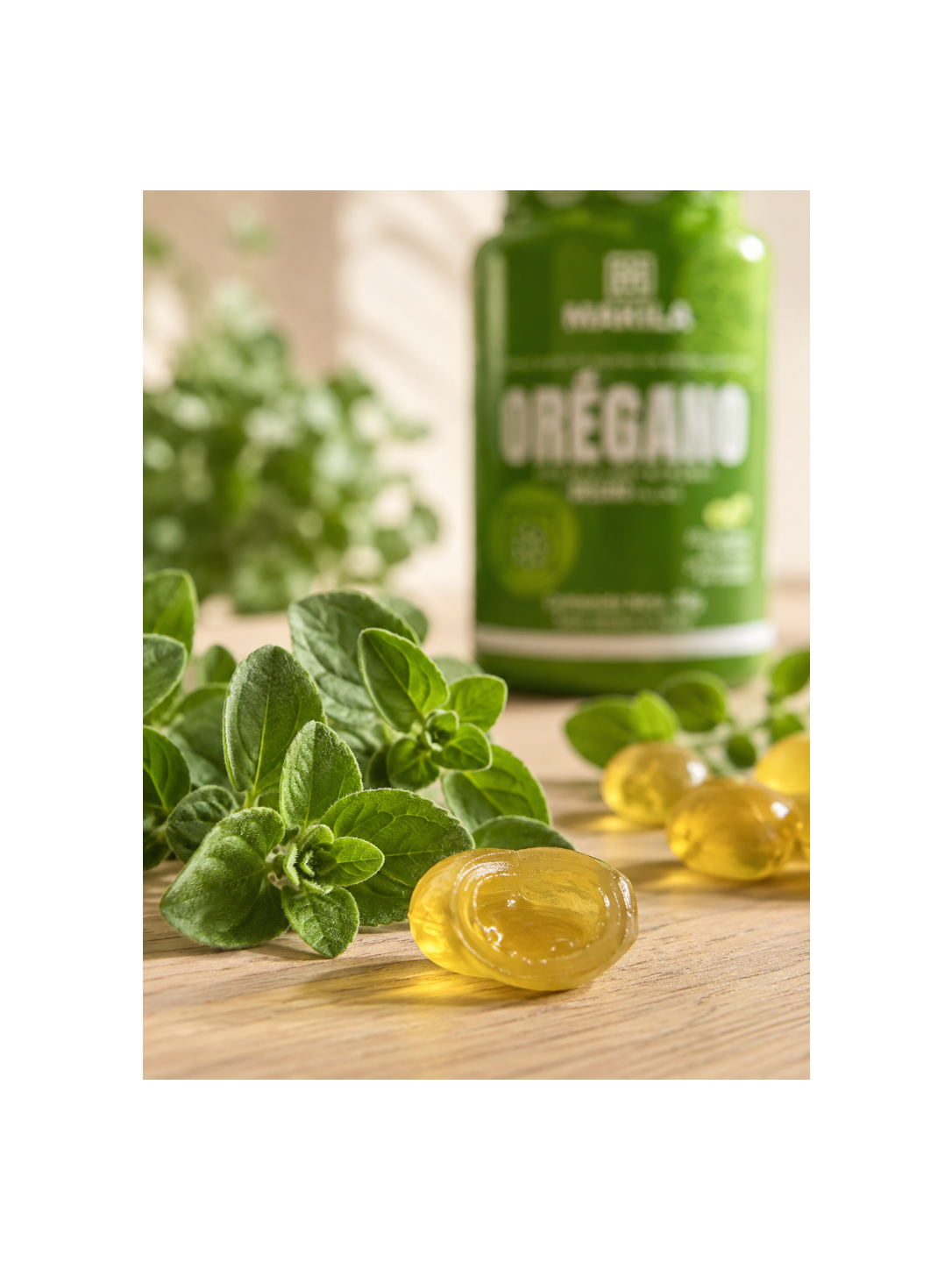 OREGANO